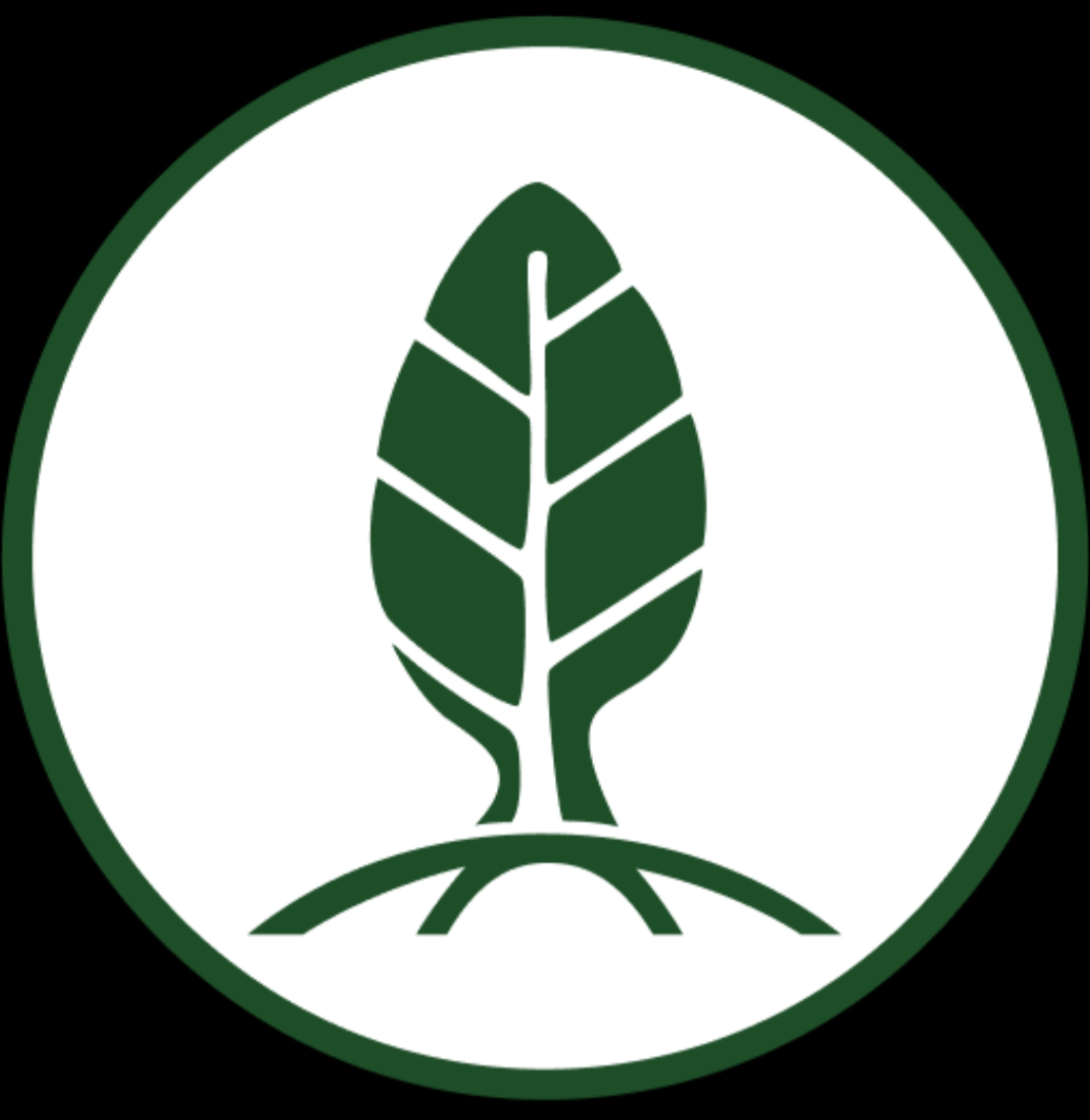 Пошаговая инструкция по донату физическим лицам